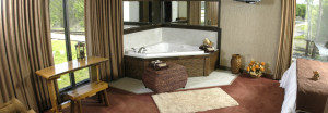 Unique hotels in Menard County, Illinois